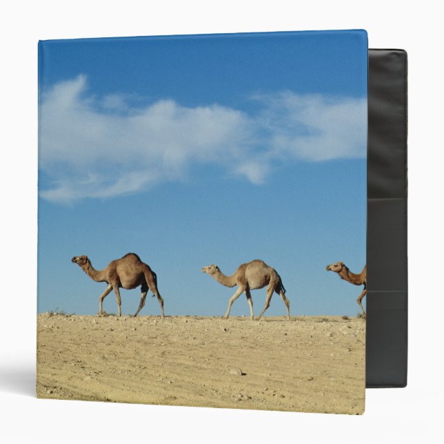 Camel train binder (Front/Inside)