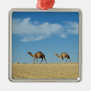 Camel train metal ornament
