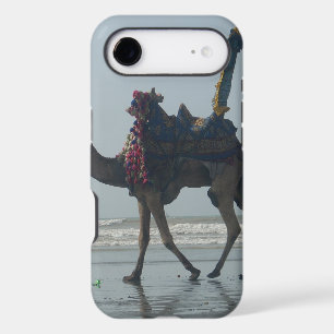 Camel tribal côtier.JPG