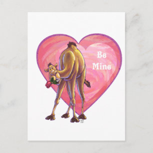 Camel Valentine's Day Holiday Postcard