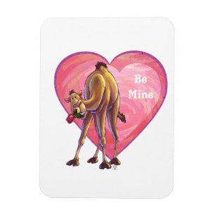 Camel Valentine's Day Magnet