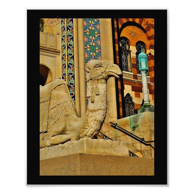 Camel View Photo Print (Front)