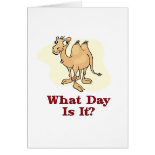 Camel - What Day Is It?