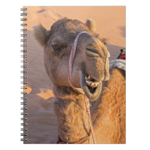 Camel with a funny facial expression - Oman Notebook