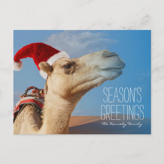 camel with christmas hat holiday postcard (Front)