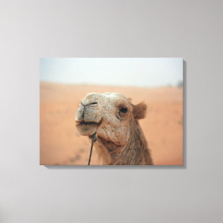 Camel with funny expression - photograph on canvas print