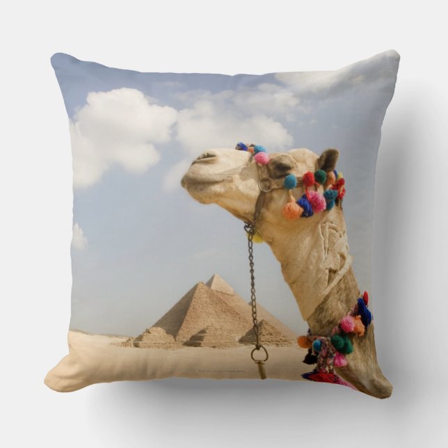 Camel with Pyramids Giza, Egypt Throw Pillow (Front)