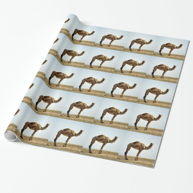 Camel Wrapping Paper (Unrolled)