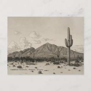 Camelback Mountain Saguaro Cactus Black & White  Postcard