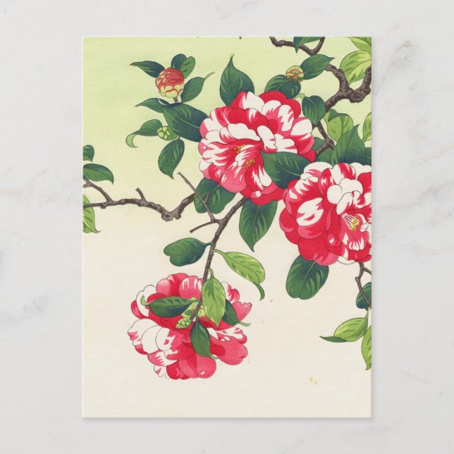 Camelia Nishimura Hodo ukiyo-e  flowers art Postcard (Front)