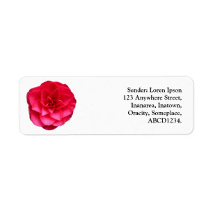 Camelia rouge