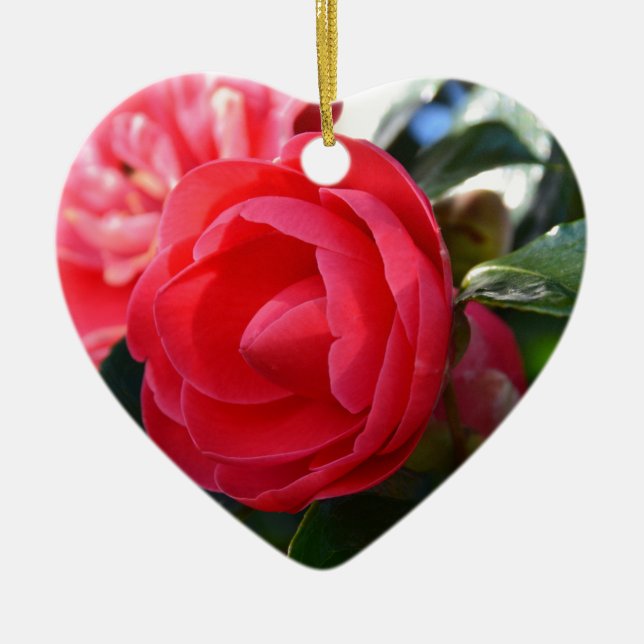Camellia Blossom Ceramic Ornament (Front)