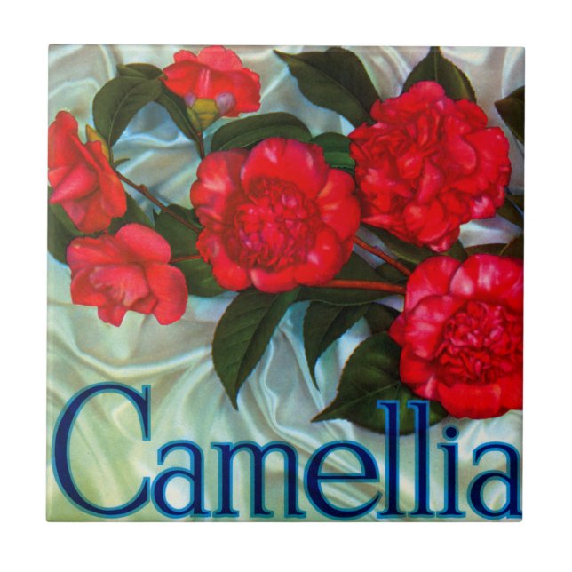 Camellia Brand Orange Label Tile (Front)