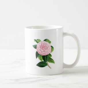 Camellia, Duchesse De Nassau Coffee Mug