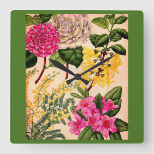 camellia, forsythia, rhododendron and acacia square wall clock