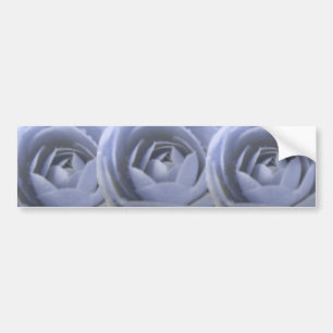 Camellia Frozen Beauty Bumper Sticker