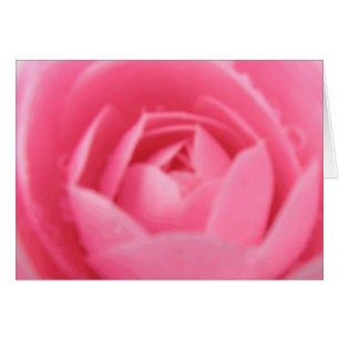 Camellia Greeting Card
