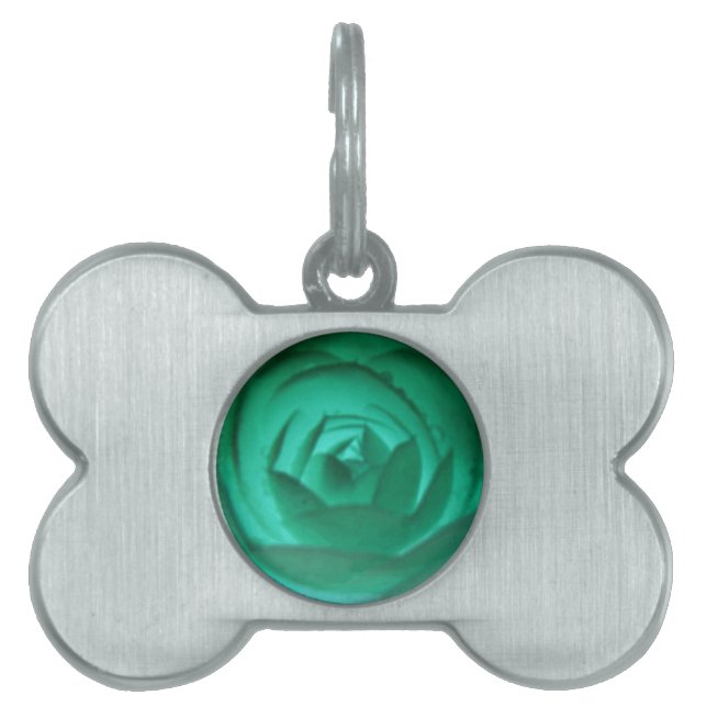 Camellia Hypnotic Pet Tag (Front)