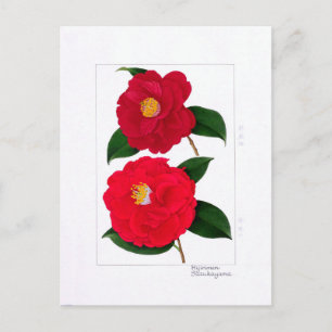 Camellia Plate: Hijirimen & Suzukayama Postcard