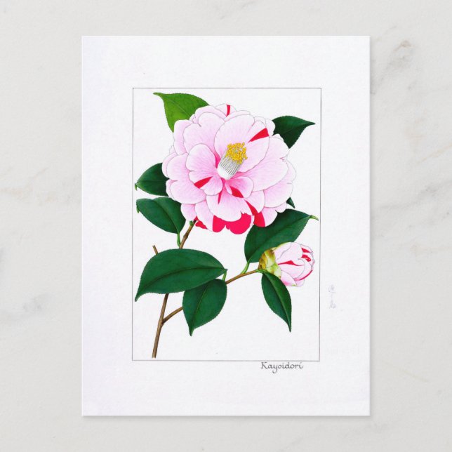 Camellia Plate: Kayoidori Postcard (Front)