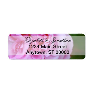 Camellia rose et Mariage de ruban