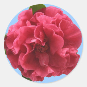 Camellia Sticker