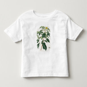 Camellia Thea from 'Phytographie Medicale' by Jose Toddler T-shirt