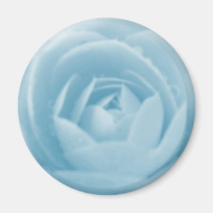 Camellia Whirlpool Magnet