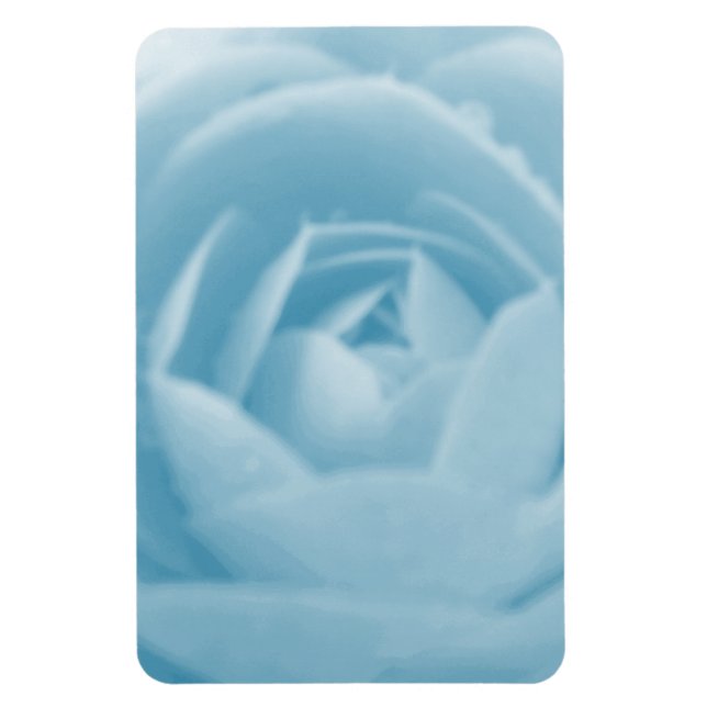 Camellia Whirlpool Premium Magnet (Vertical)