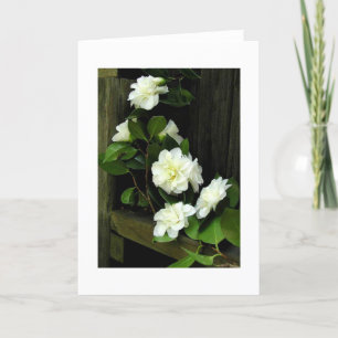 CAMELLIAS CARD