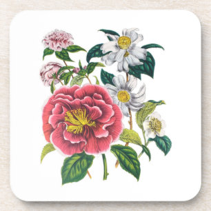 Camellias Coaster