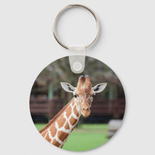Camelopard (giraffe) keychain