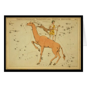 Camelopardalis, Tarandus and Custos Messium