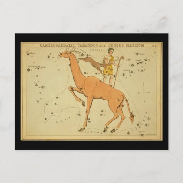 Camelopardalis, Tarandus and Custos Messium Postcard (Front)