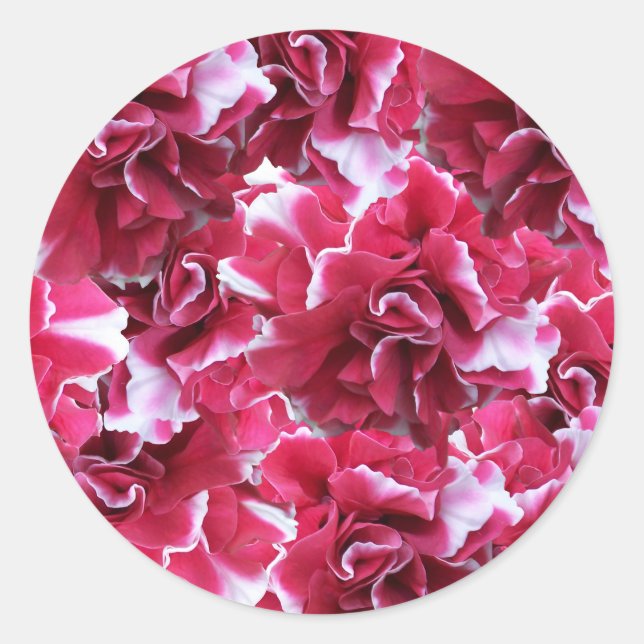 Camelot Red Floral Classic Round Sticker (Front)
