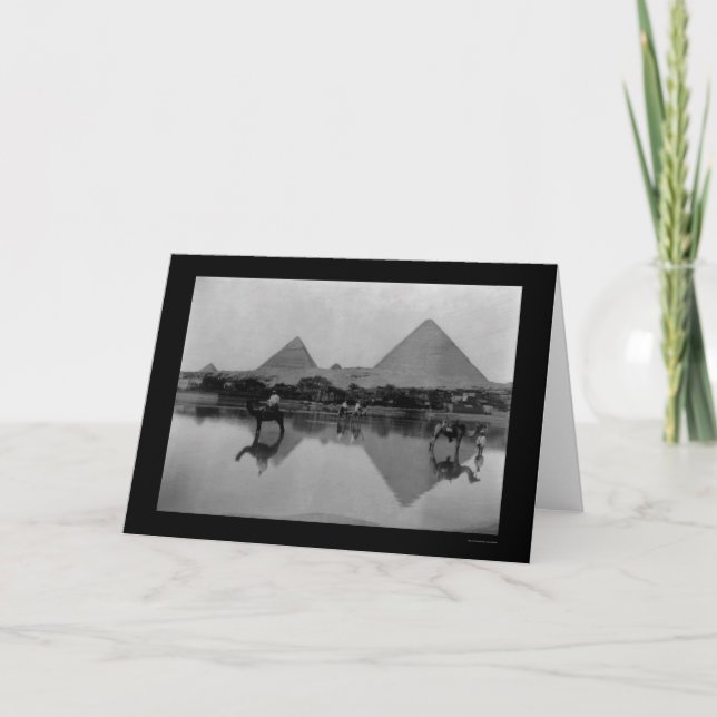 Camels and Pyramids in Egypt 1899 Card (Front)