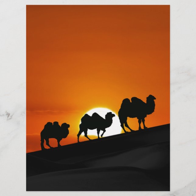 Camels at sunset (Front)
