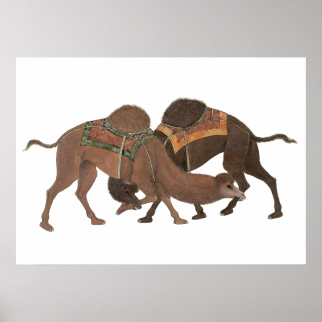 Camels Biting- Masti Poster (Front)