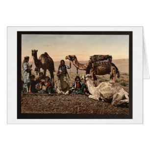 Camels halting in the desert, Holy Land vintage Ph