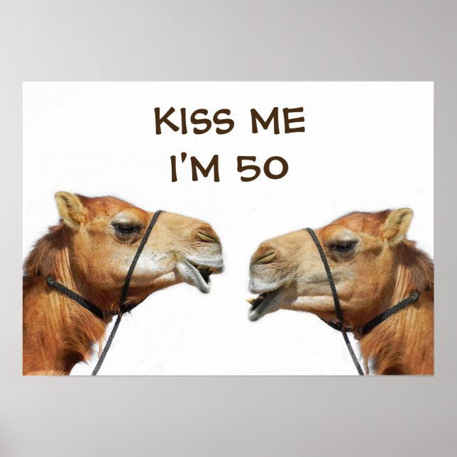 Camels Kissing Funny Poster (Front)