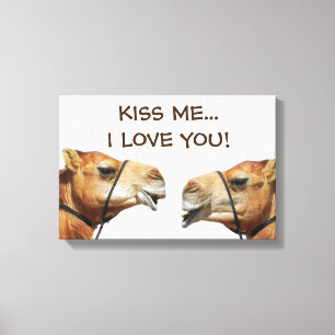 Camels Kissing Funny Wrapped Canvas