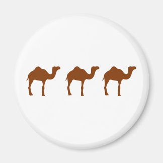 Camels Magnet