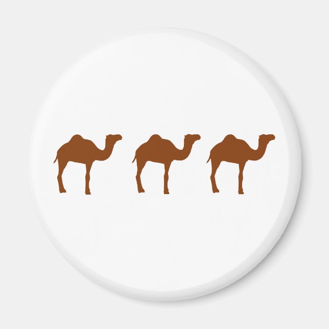 Camels Magnet (Front)