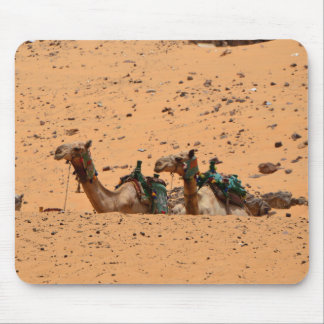 Camels  mouse pad