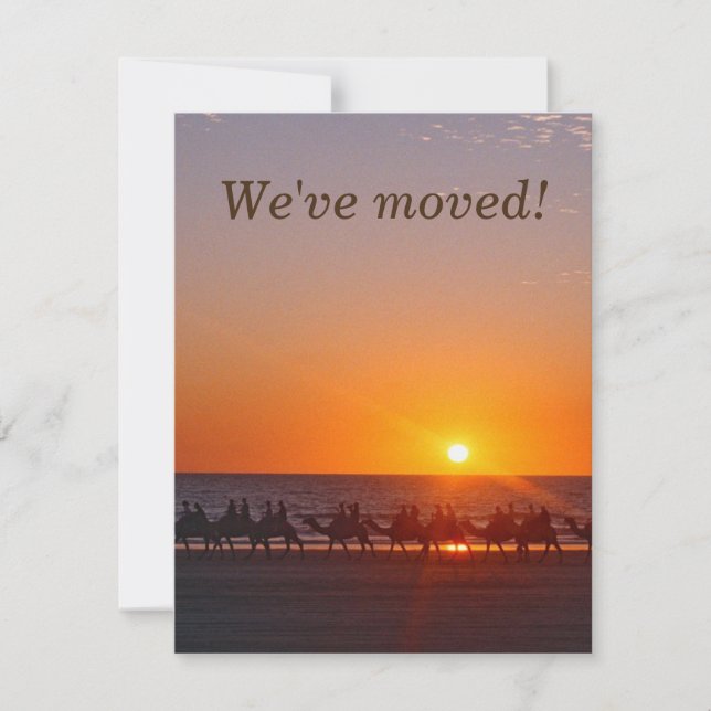 Camels Moving Announcement with Sunset Back (Front)