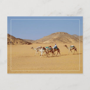 Camels near Wadi El-Seboua Temple, Egypt Postcard