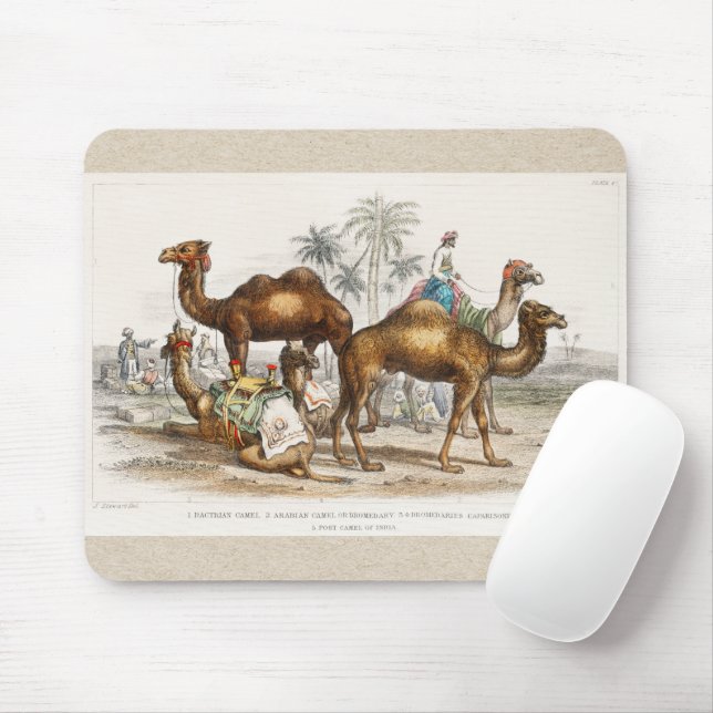 Camels of India Vintage Illustration, 1820 Mouse Pad (With Mouse)