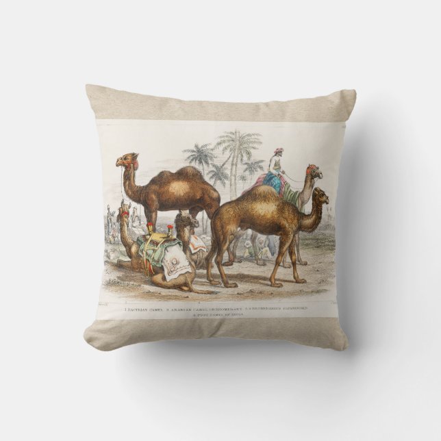 Camels of India Vintage Illustration, 1820 Throw Pillow (Front)