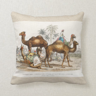 Camels of India Vintage Illustration, 1820 Throw Pillow