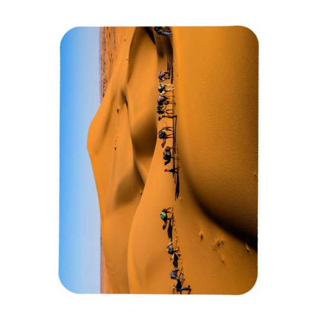 camels on desert under blue sky magnet (Vertical)